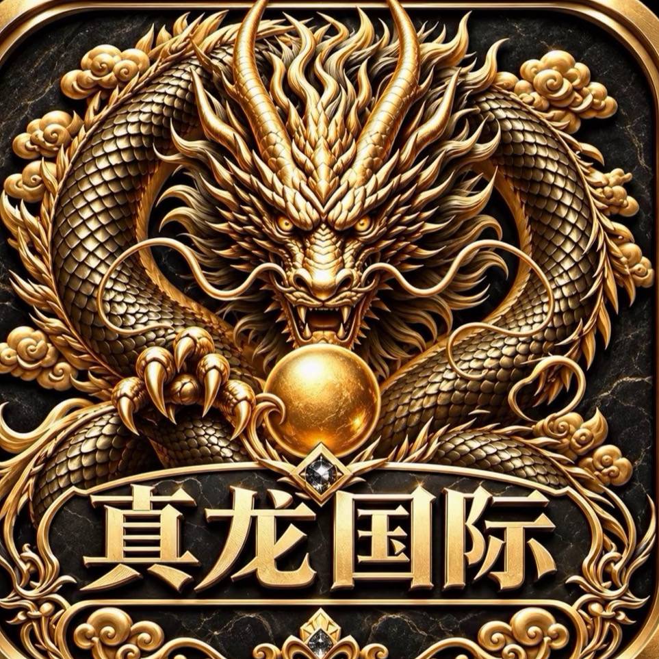 真龙国际（新平台）